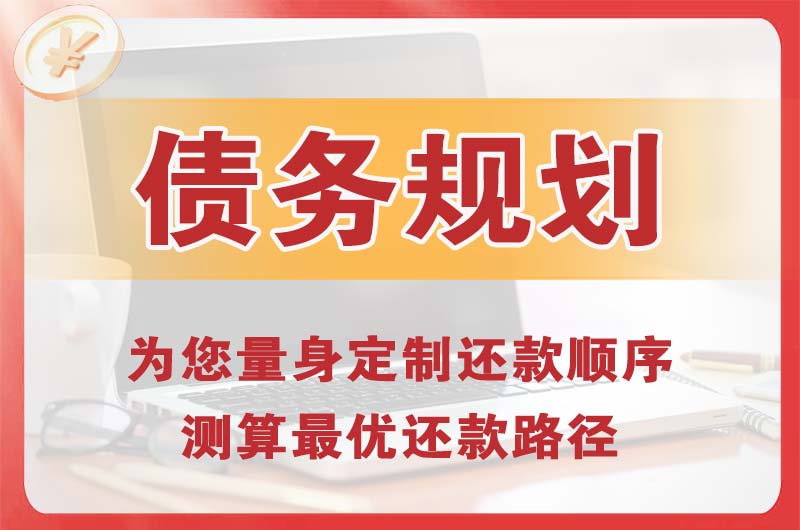 杨凌债务规划